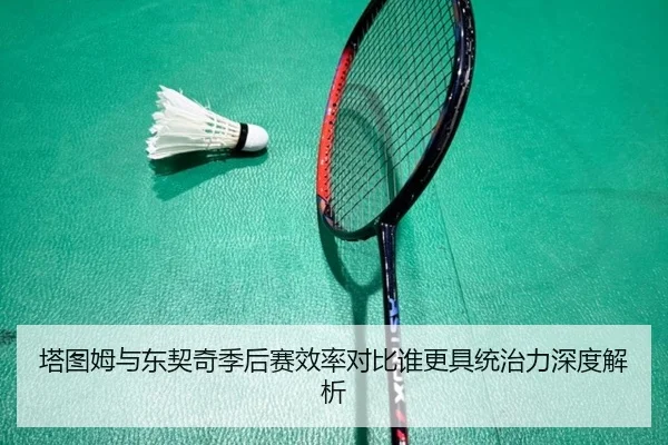 塔图姆与东契奇季后赛效率对比谁更具统治力深度解析